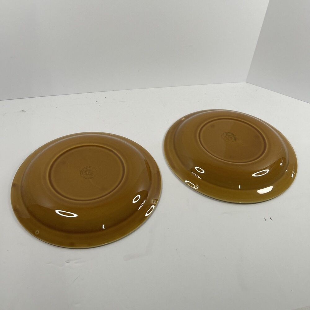 Vintage Celtic Connemara Irish Stoneware Dinner Plates (2)